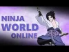 Ninja World - Level 50