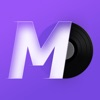MD Vinyl Music widget Review iOS