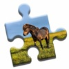 Pony Love Puzzle