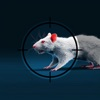 Air Rifle 3D Rat Sniper Review iOS