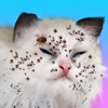 Cat ASMR: Salon Makeover part 1 Gameplay Walkthrough