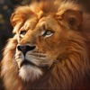 Beast Lord The New Land
