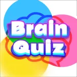 Brain Quiz Puzzle