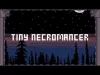 How to play AAA Tiny Necromancer (iOS gameplay)