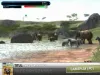 How to play Africa Wild (iOS gameplay)