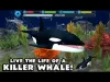 How to play Orca Simulator (iOS gameplay)