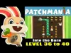 Patchmania - Level 40
