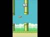Flappy Bird - Level 1000