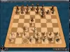 How to play Shredder Chess for iPad (iOS gameplay)