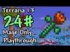 Terraria - Episode 24