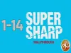 Super Sharp - Level 1 14