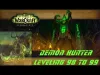 Demon Hunter - Level 99