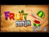 Fruit Ninja - Level 18