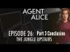 Agent Alice - Level 26