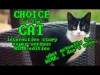 How to play Choice of the Cat (iOS gameplay)