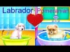 How to play Labrador Puppy Day Care (iOS gameplay)