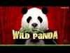How to play Wild Panda casino slot game (iOS gameplay)