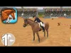 Show Jumping - Level 1 8