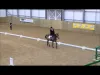 Show Jumping - Level 2