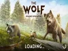 The Wolf: Online RPG Simulator - Level 11