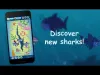 How to play Angry Shark Evolution Clicker (iOS gameplay)