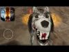 How to play Wolf Online (iOS gameplay)