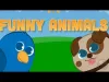 How to play Funny Animals for baby and preschool toddler (iOS gameplay)