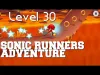 SONIC RUNNERS - Level 30