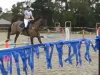 Show Jumping - Level 5