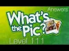 What's the Pic? - Level 111