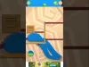 Level 5 5
