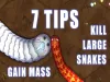 How to play Little Big Snake (iOS gameplay)