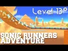 SONIC RUNNERS - Level 13