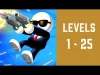 Level 1 25