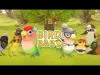 How to play Bird BnB (iOS gameplay)
