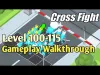 Cross Fight - Level 100