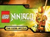 How to play LEGO Ninjago (iOS gameplay)