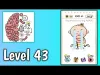 Level 43