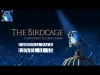 The Birdcage - Level 11 15