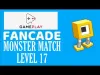 Level 17