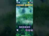 Level 3