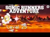 SONIC RUNNERS - Level 25