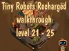 Tiny Robots Recharged - Level 21