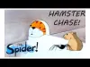 Hamster Chase - Level 9