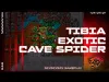 Cave Spider - Level 150