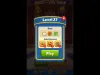 Level 27