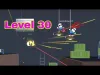 Level 30