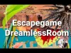 How to play Escapegame DreamlessRoom (iOS gameplay)