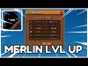 Level 11