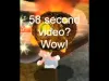 Level 28